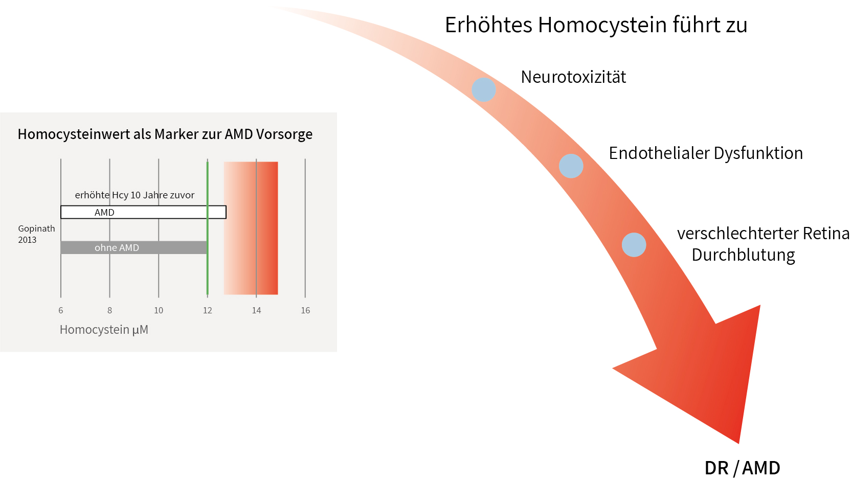 Korrelation Homocystein und Folat